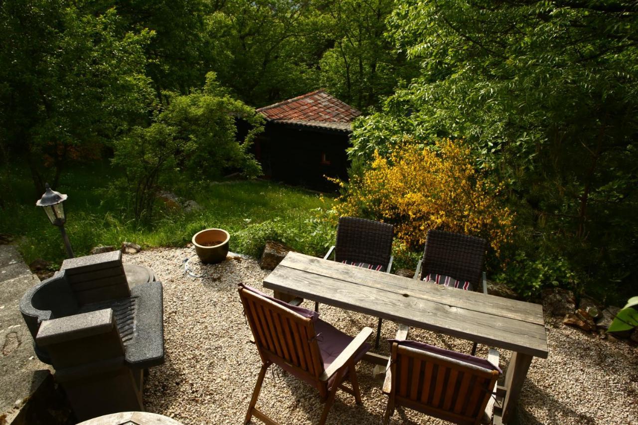 Les Grangeonnes, Gites Nature, Piscine, Bain Nordique, Sauna Pour Accueil Familiale Ou De Groupe Saint-Basile Eksteriør bilde
