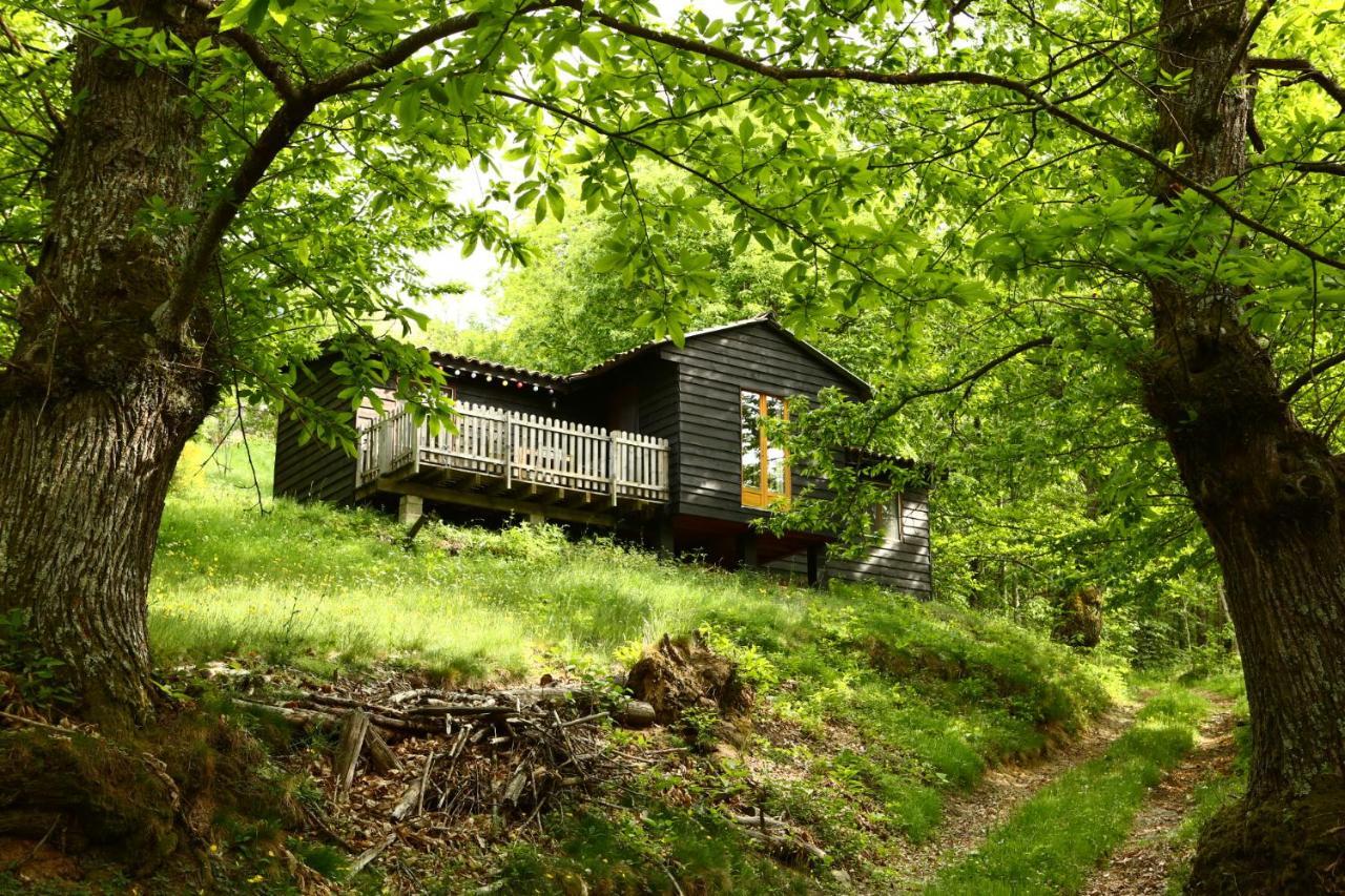 Les Grangeonnes, Gites Nature, Piscine, Bain Nordique, Sauna Pour Accueil Familiale Ou De Groupe Saint-Basile Eksteriør bilde