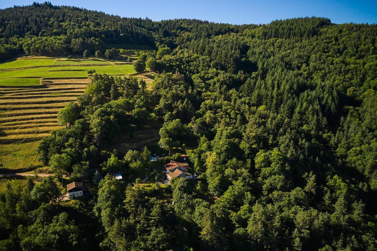 Les Grangeonnes, Gites Nature, Piscine, Bain Nordique, Sauna Pour Accueil Familiale Ou De Groupe Saint-Basile Eksteriør bilde